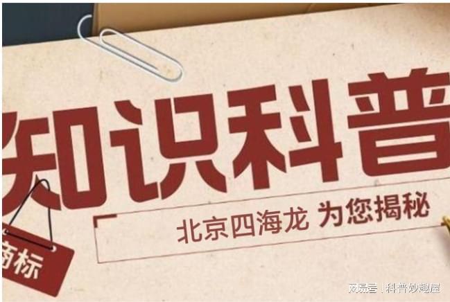 中國版權(quán)問題嚴(yán)峻的成因剖析-北京四海龍知識產(chǎn)權(quán)(圖2)